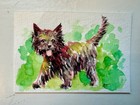 Cairn Terrier Dog Aceo Watercolor Painting