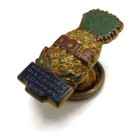 Vintage Dole Hawaiian Pineapple Company Club Lapel Pin Gold Tone Advertising