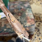 17th Century Awl Spike Forged Iron With Side Strap Remains Found Cherry Valley