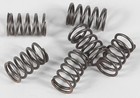Ebc Ck Clutch Spring Set Motorcycle Clutch Csk18 26-7934 15-1718 168240 Ebccsk18