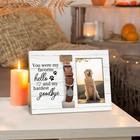 Pet Cat Dog Memorial Loss Gifts Picture Photo Frame With Collar Holder For 4x   