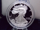 2006  w  Proof American Silver Eagle  1 Box   Coa East Coast Coin   Collectable