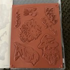 Stampin  Up  Inspirational Sketches Cling Stamp Set