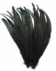 50 Pcs Rooster Coque Feathers 12-16 Inches Black Iridescent  costume halloween 
