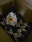 12 Pack - Black Chocolate  400x Espresso Dark Roast Bronzer Tanning Bed Lotion