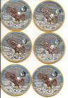 Apollo 11 Original Nasa Launch Team Mission Patch - Lion Brothers