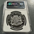2024 Somalia S100s   999 1oz Silver Elephant Ngc Ms69  Wmf Privy  86962 