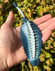 Opabinia Arthropod Fossil Model Display Replica Toy Teaching Paleontology Blue