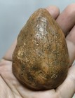 Rare Sam Hom Buddha Amulet     Ancient Clay Amulet From Lamphun  Thailand