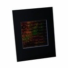 3d Circuit Board Hologram Picture Matted  Collectible Embossed Type Film