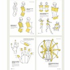 Point Character Drawing By Taco Lezhin Comics Human Body Drawing Guide  Express