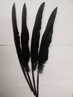 Wholesale15 30  60 Pcs Unique Raven Feathers 30-35 Cm