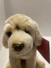 Fao Schwarz Golden Retriever Plush Sitting Puppy Nwt And Adoption Certificate