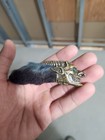 Billy Trident Black Rabbit Foot Of Glory Lucky Charm