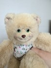 Vintage 1998 Fisher Price Briarberry Collection Mollyberry Plush Bear