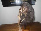 Dark Haired Jivaro Shrunken Head With Tribal Nose Bones -tsantsa