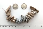 25 Natural Holey Beach Rocks  75  Hag Stones Fairy Lucky Wish Amulet Magic  a1