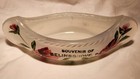Vintage Selinsgrove Pa Painted Glass Souvenir Canoe Pennsylvania