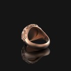 Griffin Signet Ring For Men - Mythical Beast Gothic Silver Jewelry