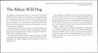 Togo Wwf First Day Cover Chimpanzee 90f Stamp Lome 13 Juin 77