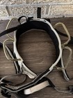 Black Diamond Type C Harness Size Medium Climbing Equipment Good Condition