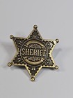 Sheriff Novelty Badge Lapel Pin Hexagonal Star Bronze Color   