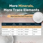 Baja Gold Mineral Sea Salt  Fine Grind  1 Lb  Bag