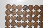 Lincoln Wheat Cents 1930 P   Roll Vf ef     rl33