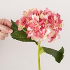 Package Of 4 Artificial Pink Hydrangea 18  Floral Stems