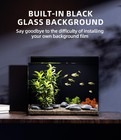 3 Gallon Glass Fish Tank Ultra Clear Rimless Aquarium  Built-in Black Background