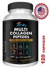 Collagen Peptides Pills 1000 Mg Hydrolyzed Collagen I  Ii iii v x 240 Capsules