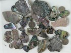 25 Pieces Of     craft Grade    Abalone Shards  Beautiful Bright Colors  All Sizes
