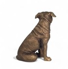 Staffordshire Bull Terrier Ornament Leonardo Bronzed Figurine Staffy Lover Gift