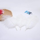 24pcs Natural White Ostrich Feathers 10-12inch  25-30cm  For Wedding Party