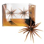 Slow Sinking For Sea Urchin Bait 6cm Tpr Soft Lure For Finesse Fishing