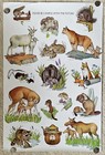 Vintage Smokey Nature Poster  Wildlife Animal Protection  1979  29  X 19   Paper