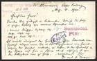 Cape Of Good Hope Qv 1 2d Green Postal Card Uprated Used 1900 To Germany