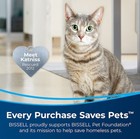 Bissell Cleanview Compact Turbo Vacuum Cleaner     Bagless Pet Hair Removal     