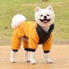 Winter Warm Thickness Pet Dog Jacket Waterproof Clothes For Small Medium Dog