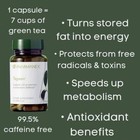 Nu Skin Pharmanex Tegreen 97 - 120 Capsules  Free S h