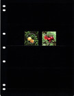  3 75 Scott Value - 2015 Uzbekistan Fruits Berries Scarcer Cv Mnh Nh Umm