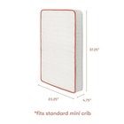 Babyletto X Avocado Standard Mini Crib Size - 37 25 X 23 25 X 4 75  White