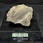 10oz Sw Washington Jasper Agate Mix Lapidary Rough For Cabbing