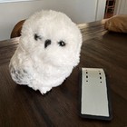 Universal Studios Harry Potter Hedwig Snowy Owl Shoulder Plush Sound   Movement