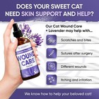 Pet Wound Care For Cats   Lavender Wound Spray   4 Oz