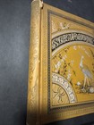 Large Antique Victorian Scrapbook Album Ephemera Deaths And Births  Late 1800   s