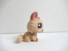Kitten Cat  1584 - Authentic Littlest Pet Shop - Hasbro Lps
