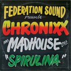 Serato X Chronixx - 7  Control Vinyl Performance Series Green