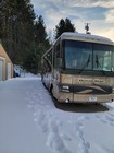 1998 Tan green Newmar Dutchstar Diesel Pusher Dp3858 38  Class A