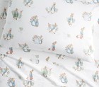 Pottery Barn Holiday Peter Rabbit Disney  Pillowcase Gift Bunny School Kid  